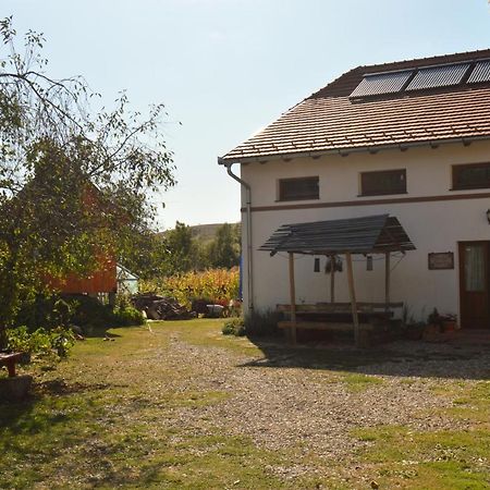 Pensiune Agroturistica Hanna Ocland Εξωτερικό φωτογραφία