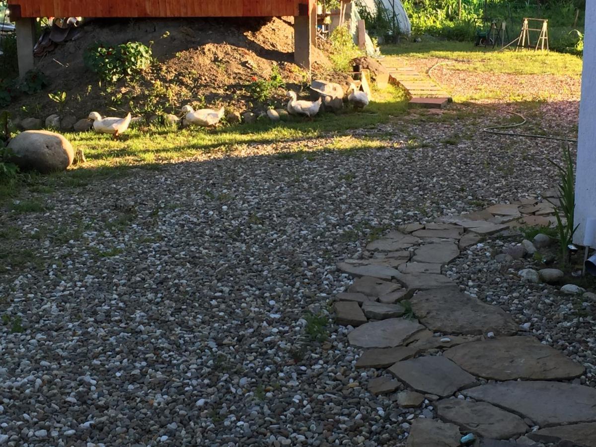 Pensiune Agroturistica Hanna Ocland Εξωτερικό φωτογραφία