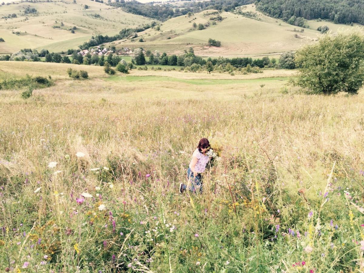 Pensiune Agroturistica Hanna Ocland Εξωτερικό φωτογραφία